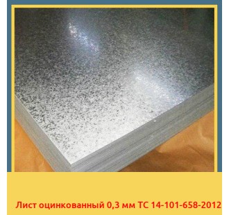 Лист оцинкованный 0,3 мм ТС 14-101-658-2012