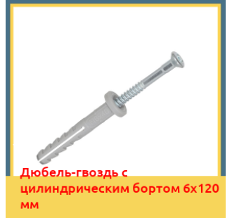 Дюбель-гвоздь с цилиндрическим бортом 6х120 мм в Алматы