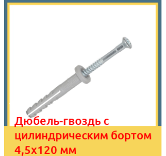 Дюбель-гвоздь с цилиндрическим бортом 4,5х120 мм в Алматы
