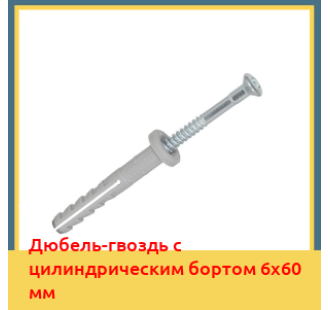 Дюбель-гвоздь с цилиндрическим бортом 6х60 мм в Алматы