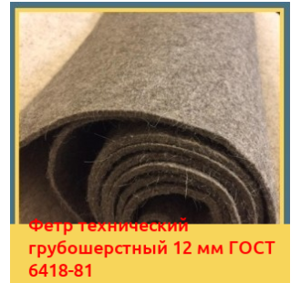 Фетр технический грубошерстный 12 мм ГОСТ 6418-81 в Алматы