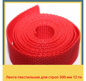 Лента текстильная для строп 300 мм 12 тн