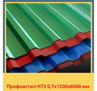 Профнастил H75 0,7x1200x6000 мм в Алматы