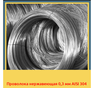Проволока нержавеющая 0,3 мм AISI 304 в Алматы