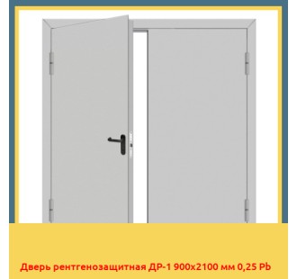 Дверь рентгенозащитная ДР-1 900х2100 мм 0,25 Pb