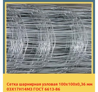 Сетка шарнирная узловая 100х100х0,36 мм 03Х17Н14М3 ГОСТ 6613-86 в Алматы