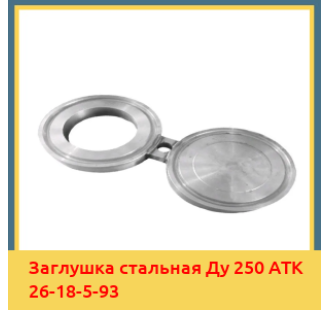 Заглушка стальная Ду 250 АТК 26-18-5-93 в Алматы