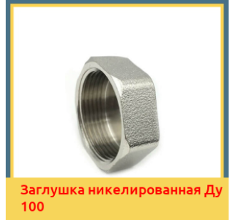 Заглушка никелированная Ду 100 в Алматы
