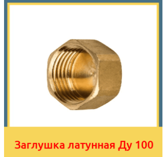 Заглушка латунная Ду 100 в Алматы